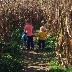 Meet your Posher, Roberta